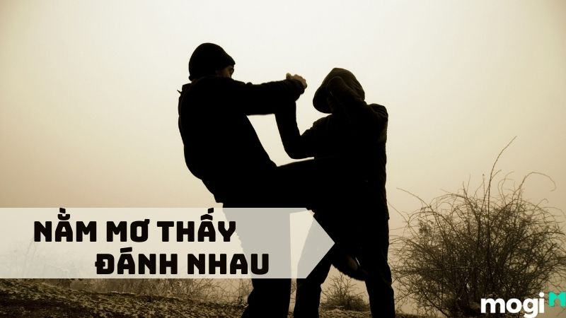 mơ thấy đánh nhau